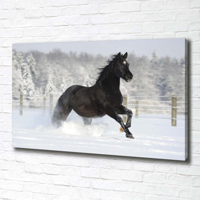 A Horse Galloping In The Snow - No Frame Print on Canvas