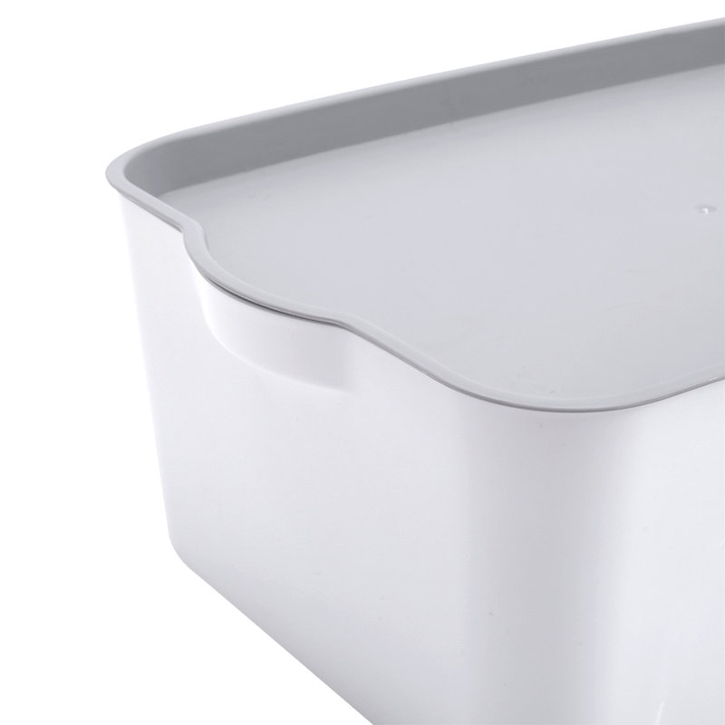 Rebrilliant Robert Plastic Box