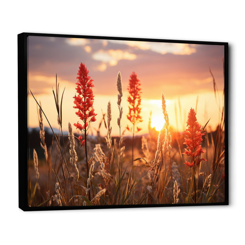 Champ de fleurs sauvages avec coucher de soleil, reproduction sur toile, H 24 po x l 32 po x P 1 po, Cadre flottant noir