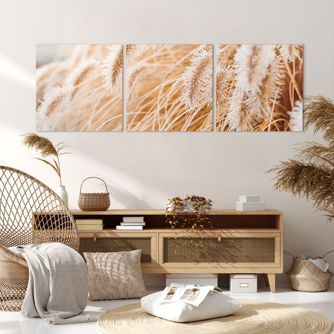 3-tlg. Leinwandbilder-Set Grass Boho Light