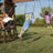 Castlebrook Wooden Play Swing Set