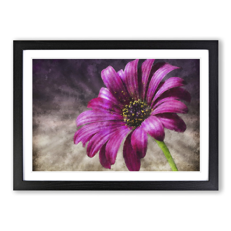 Purple Daisy - Picture Frame Painting Print, Black Framed, 62cm H x 87cm W x 2cm D