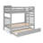 Tena Tall Solid Wood Standard Bunk Beds Twin over Twin with 4 Step Ladder and a Twin Trundle, Gray-2005313617