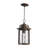 Jadarose Outdoor Hanging Lantern