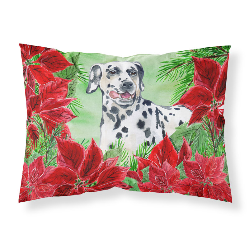 Microfiber, Dalmatian