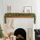 Wayfair Basics® Fir Pre-Lit Garland