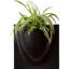 Wall Planter-23555156