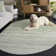 Arrietty Abstract Performance Rug