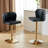 Zager Swivel Adjustable Height Bar Stool, Modern PU Leather Kitchen Island Counter Bar Chair-293991861