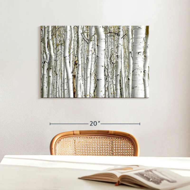 Bois de bouleau Alvord, H 16 po x l 24 po