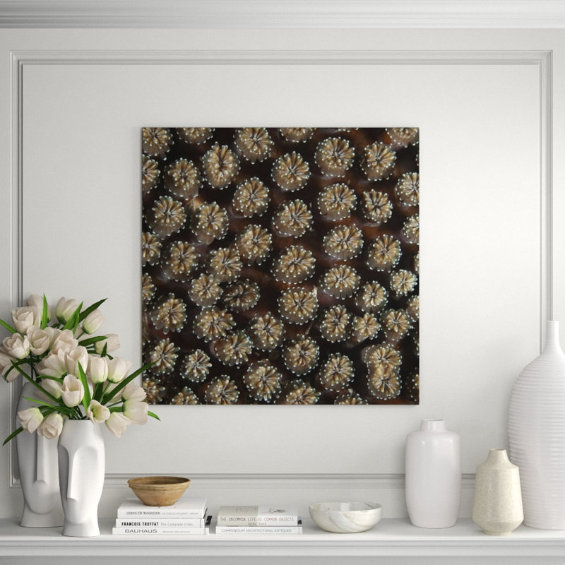 Underwater Beauty II Print by Austin Beiv, Matte, 36" H x 36" W x 1.5" D