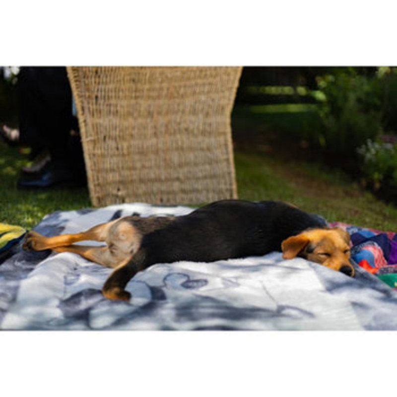 Breckenridge Pet Bed