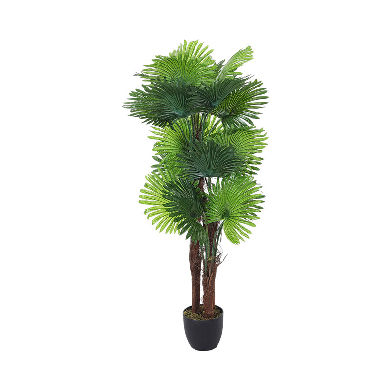 140cm Plant