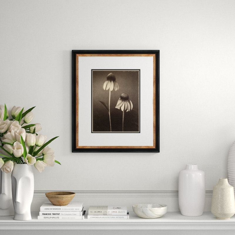 Sepia Flowers 22 Giclee Print by Soicher Marin Archives