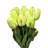 Tulip Arrangement-1691568786