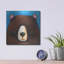«The Black Bear» par Lucia Stewart-1241083675
