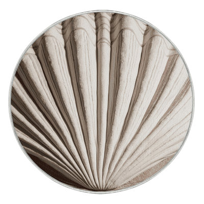  Washable Giant Clam Feature Coastal Area Rug