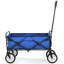 Chariot de plage pliable-118504537