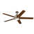 Brushed Stainless Steel with Brown Blades
