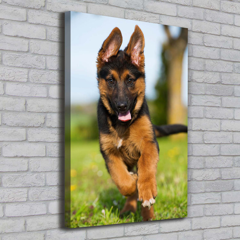 German Shepherd - Wrapped Canvas Print