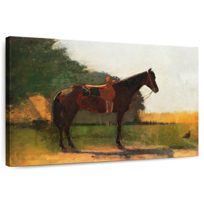 Saddle Horse In Farm Yard