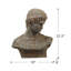 Buste d'Atticus, 48 ​​x 23 x 57 cm, sculpture classique antique
