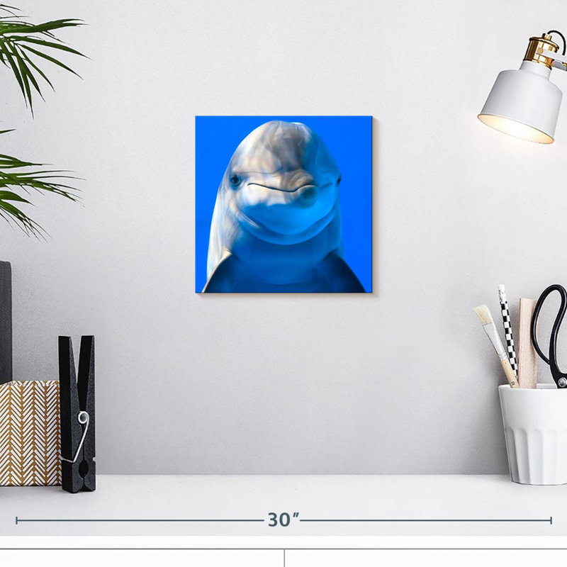 Brampt Sociable Dolphin, 10" H x 10" W