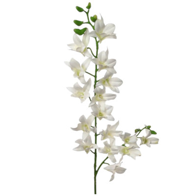Arrangement Dendrobium