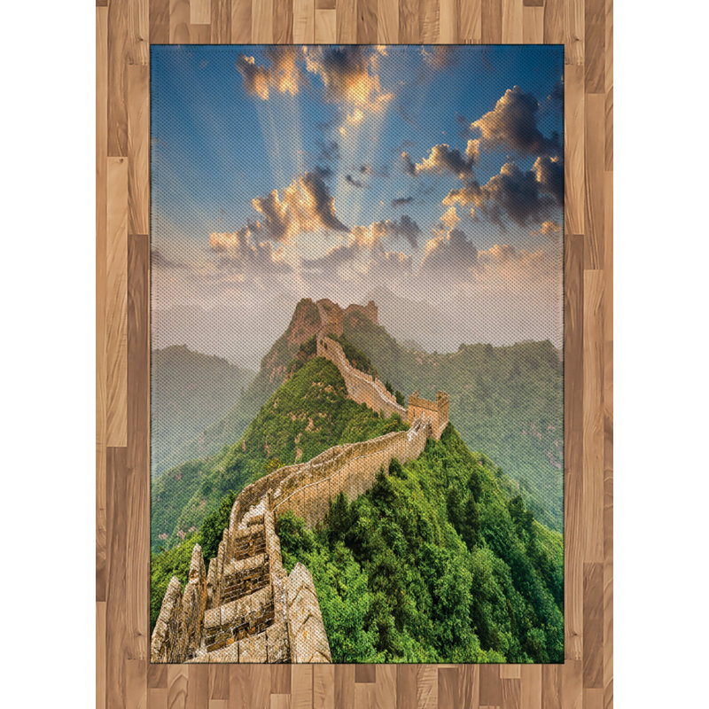 China High Density Long Fiber Poly Threads Decorative Area Rug Carpet, Rectangle 4' x 5'8"