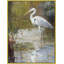 Birds-243685125-243685368