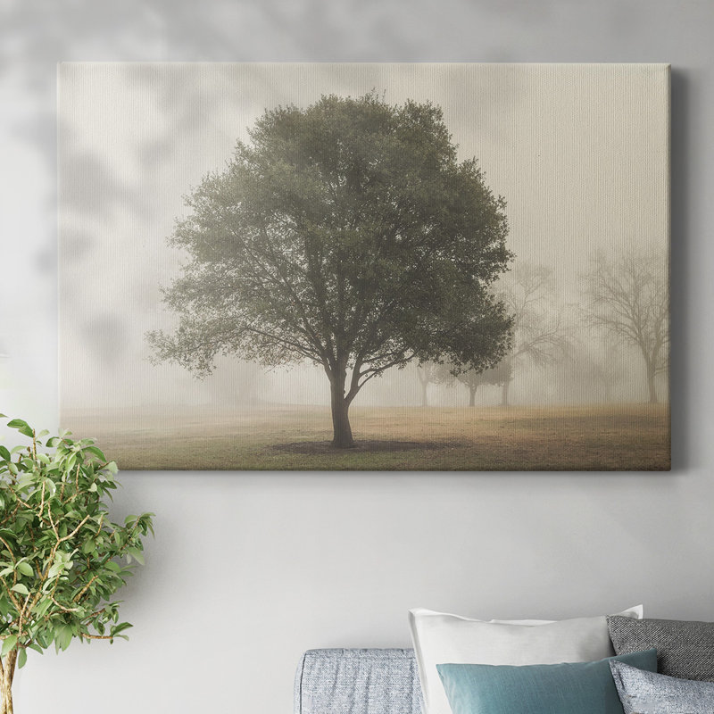 Toile tendue I-Gallery « Arbres dans la brume », H 12 po x l 18 po