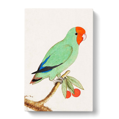 Lovebird by A.B. De Boodt - Wrapped Canvas