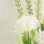 Allium Arrangement in Vase