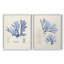 Algue bleue bleue - reproduction encadrée de qualité supérieure - prête à être accrochée - aucun clou requis - aucun clou requis-807077258-807077249