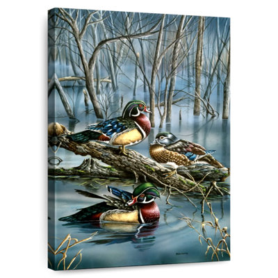 Canards brumeux Brampt