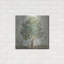  «Verdi Trees 2 Light Green C» par Silvia Vassileva, art mural en métal-664626681