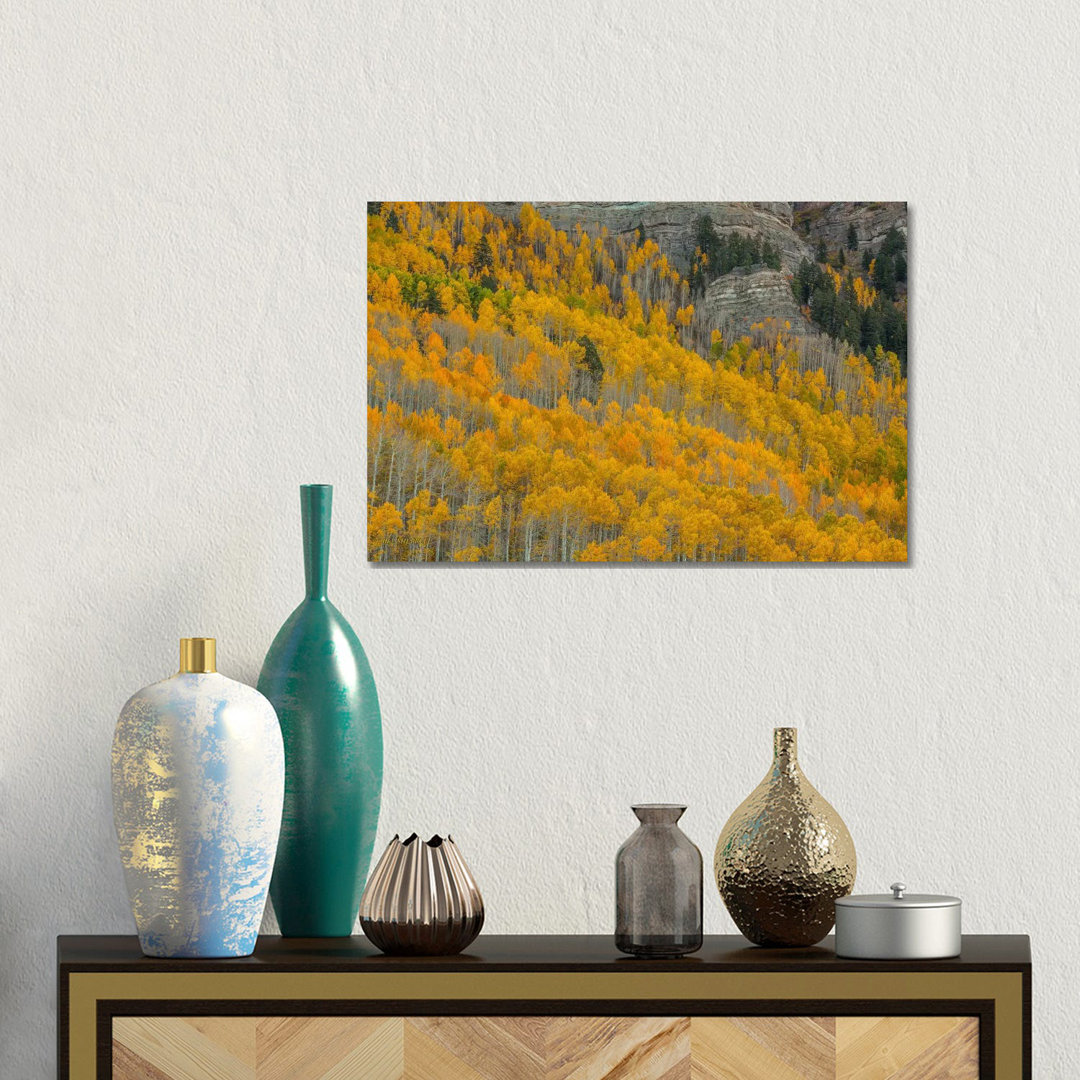 Autumn Canyon von Bill Sherrell - Galerieverpackte Leinwand Giclée auf Leinwand ohne Rahmen