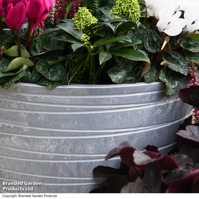 Pot Planter