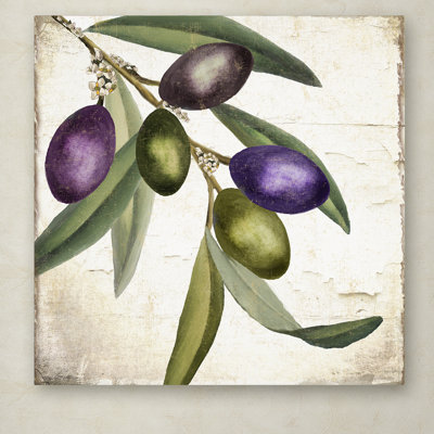 Wrapped Canvas Wall Art - Color Bakery 'Olive Branch I' Wall Art for Living Room, Bedroom, or Office Décor - 35x35