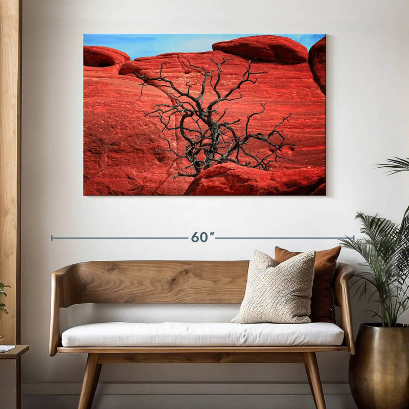 Arbre mort Harnek par Red Rocks, H 32 po x l 48 po