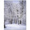 12'' x 12'' Satin Ceramic Decorative Mural
