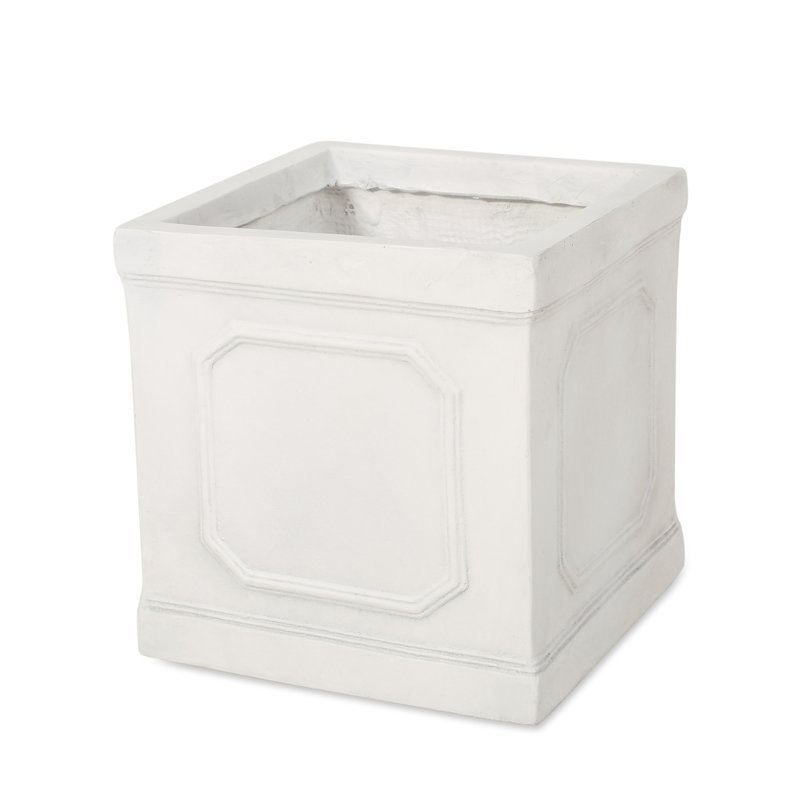MGO PLANT, H 11 po x l 10,75 po x P 10,75 po