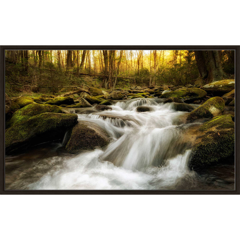 «Roaring Fourche», reproduction de photo, H 21,5 po x l 33,5 po x P 2 po, Cadre flottant espresso