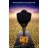 Despicable Me 2-1513297698