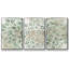 «Green Flowerhead I», ensemble de 3 pièces encadrées sur toile-97795150-97795151