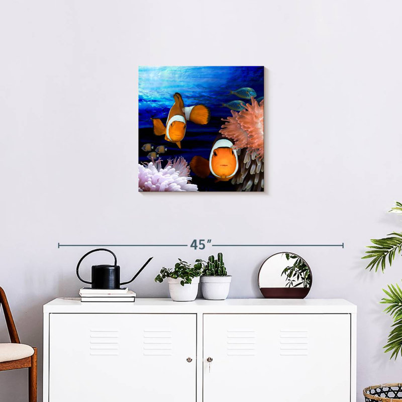Crowle Sea Creatures Clown Fish, 20" H x 20" W