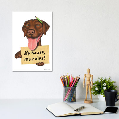 Labrador Retriever My House