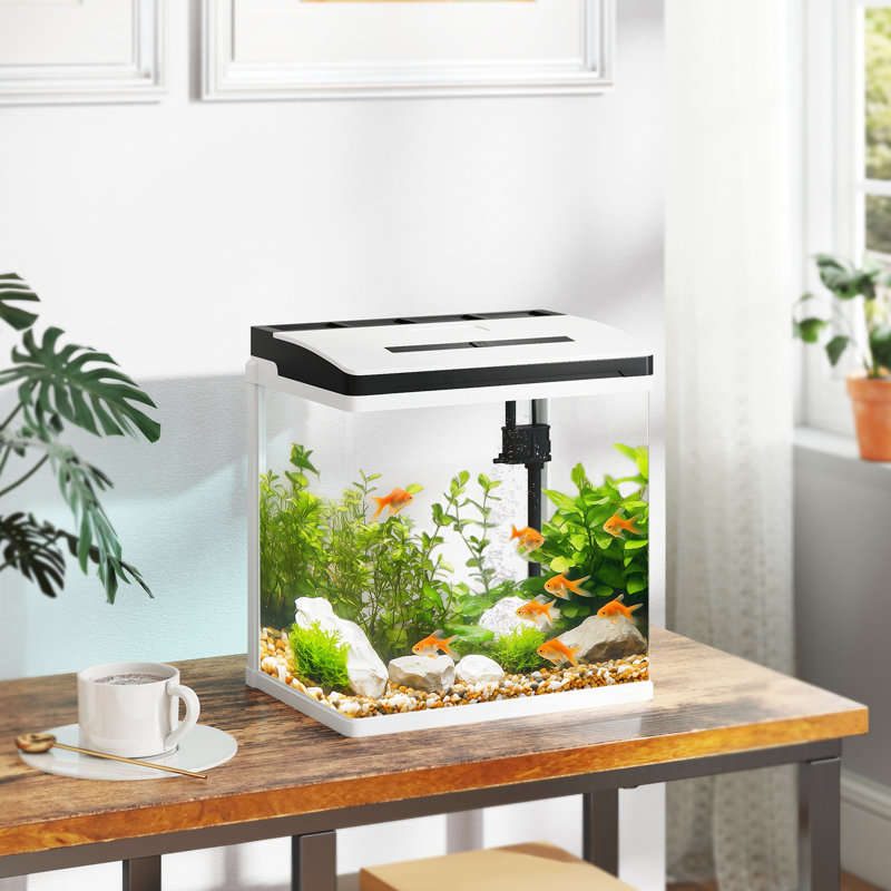 13L Aquarium Tank, 39.5 cm H x 38 cm W x 26 cm D