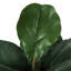49 " H Faux Fiddle Leaf Fig Plant in Plastic Pot