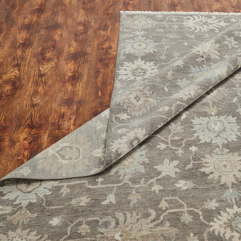 Wool Oriental Area Rug in Brown, Rectangle 2' x 3'